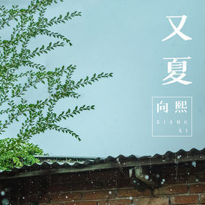 盗墓笔记漫画全集免费下拉式
